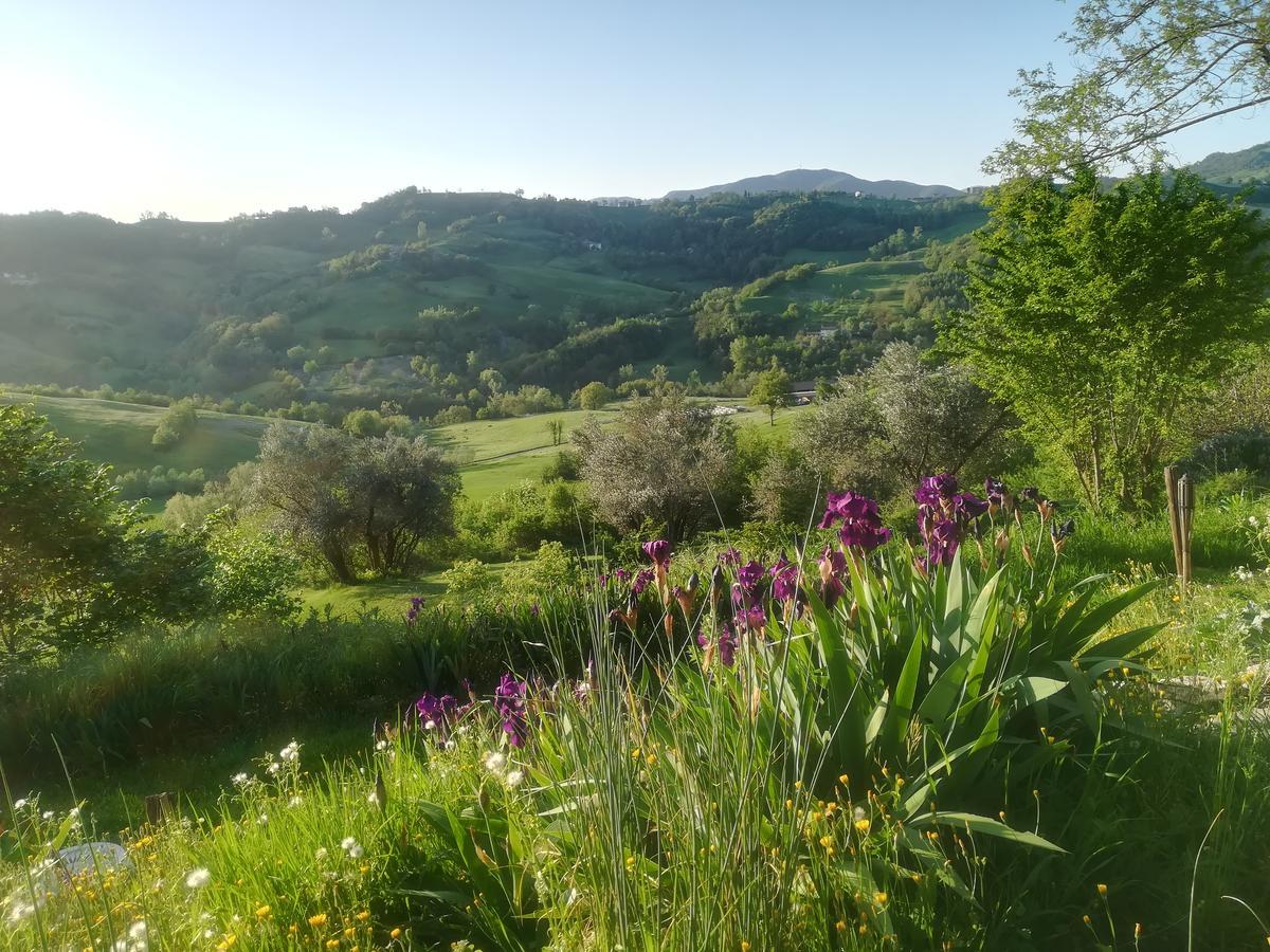 B&B Casa Della Musica Vezzano sul Crostolo Екстериор снимка